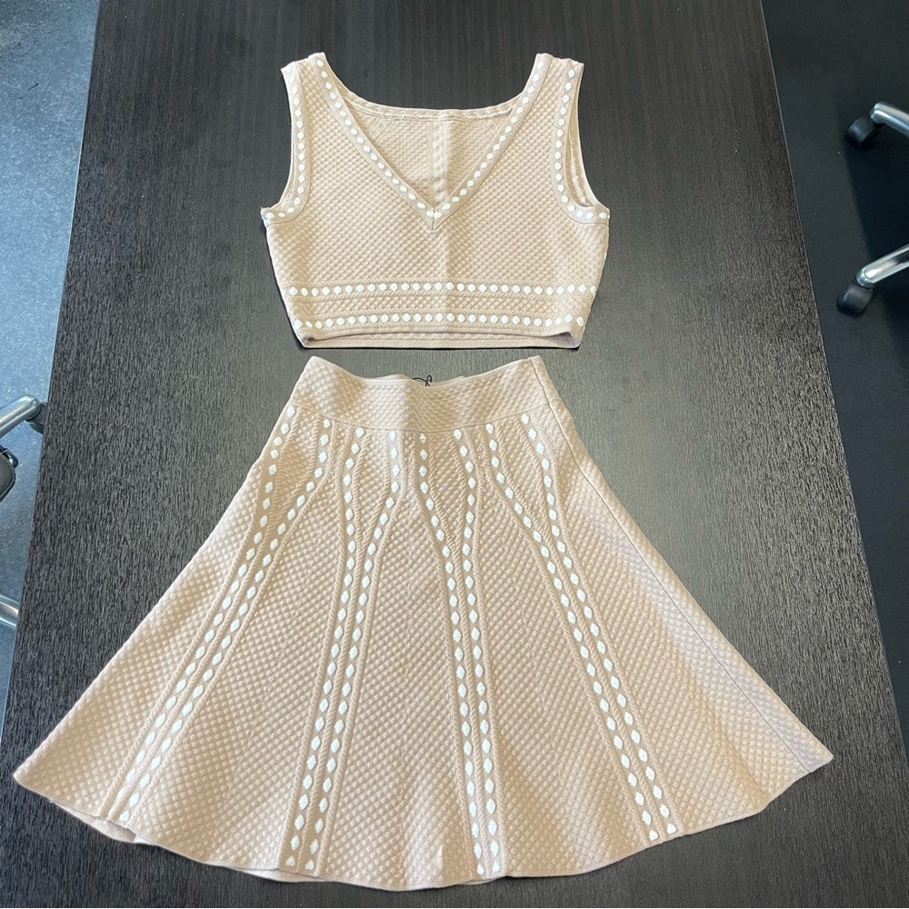 BCBG MAXAZARIA Bare Pink Skirt and Top Set